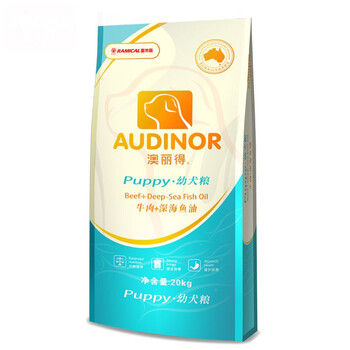 貴賓比熊犬