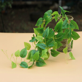 告別單調(diào)，玻璃花瓶讓你愛(ài)上生活