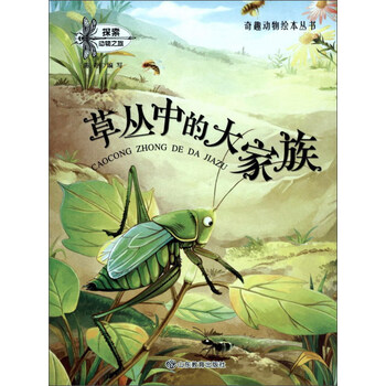大奇趣