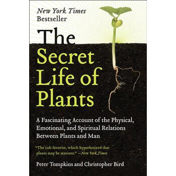 the secret