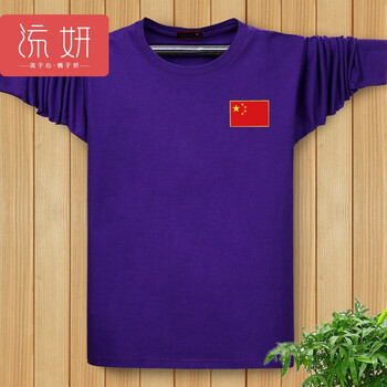 bodywish 長(zhǎng)袖 男士T恤 紫色 長(zhǎng)袖 加大