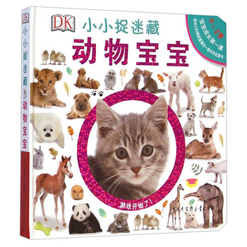 dk捉迷藏寶寶