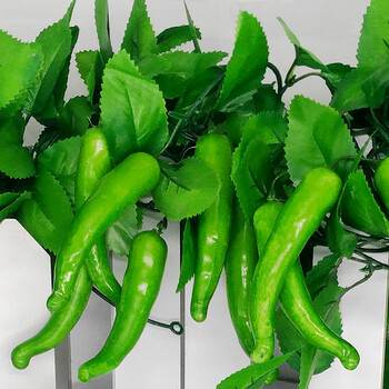 花卉香薰，讓你的生活不再單調(diào)