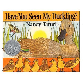 have you seen