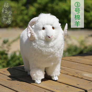 仿真,仿真,怎么樣,動物,動物,標(biāo)本,標(biāo)本