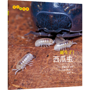 西瓜