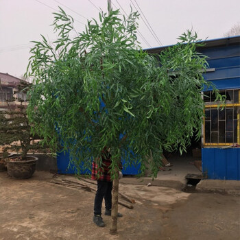 歐式風花瓶，打造精致生活的藝術(shù)