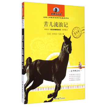苦兒流浪記
