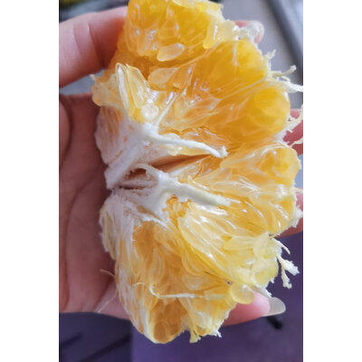 上手解密美宜园美宜园 小青柠汁280ml12瓶性价比高如何，评测真实情况