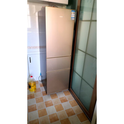 使用曝光康佳BCD-219WEGX3S冰箱怎么样？老司机吐槽大实话