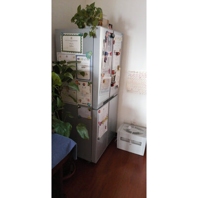 图文解密新飞BCD-382LT8EH冰箱怎么样？使用报告曝光评测