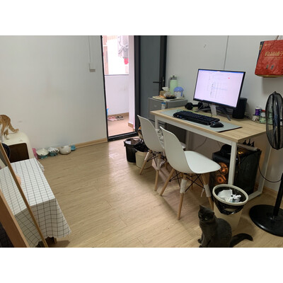 入手剖析TCLXQB55-36SP洗衣机怎么样？老司机解密真相