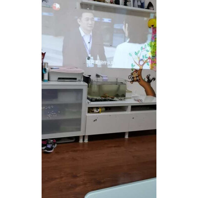 解密当贝f1c和f1哪个好？剖析区别是？