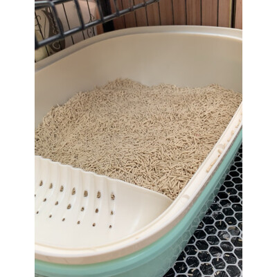 反馈剖析憨憨宠猫砂盆测评下质量如何，使用一个月后评测