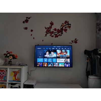 内幕爆料东芝55U3800C（PRO）电视怎么样？老手吐槽大实话