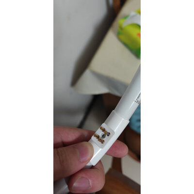 到手爆料飞利浦（PHILIPS）荧光灯源评价真实好吗，用过的来介绍