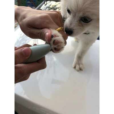 探索分析petshy美容电器值不值这价格呢，评价真的好吗
