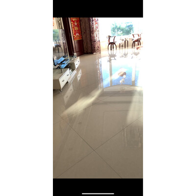 求助评价Blaupunkt蓝宝BP-ZT01怎么样,图文评测感受