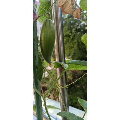 显示器LG 27UP850-W优缺点好不好,评测揭秘价格值不值