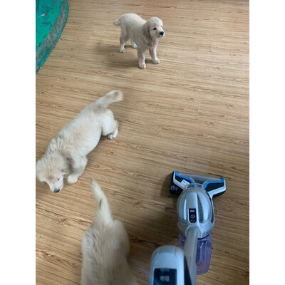 洒哇地咔FG2020洗地机质量优缺点好不好,评测分析结果参考