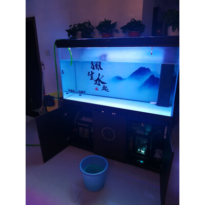 亲身剖析百因美（BIOZYM）水质调理剂是不是真的好呢，买过的朋友来说说