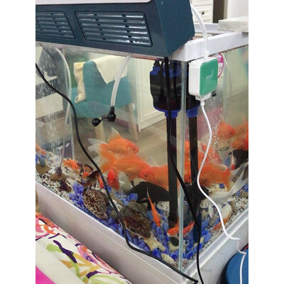 深度评测Nepall鱼缸氧气泵真的值得入手吗，体验报告揭秘