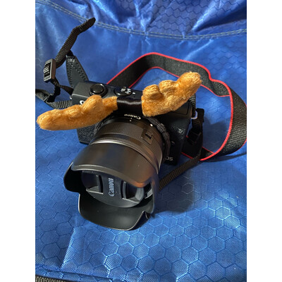 老司机评测佳能（Cao）佳能 EOS M200评测反馈如何，评测分析结果告知