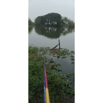 参考吐槽本诺（BENNUO）钓鱼支架是真的很优质吗，使用十天客观评价评测感受