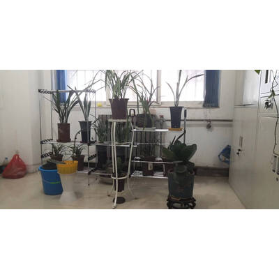 分享揭秘ONEVAN鞋架优缺点分析参考，图文评测详情如何
