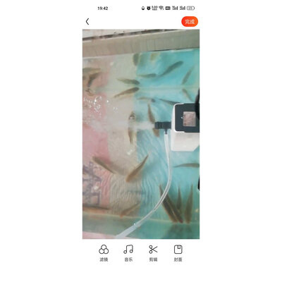 了解感受森森（SUNSUN）过滤器水泵使用后评价好吗，使用一个月感受