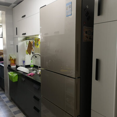 内幕解析松下NR-C281WG-N冰箱怎么样？内行分析实际情况