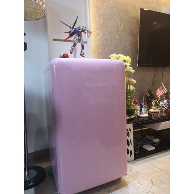 内幕剖析小吉BD-100P F1冰箱怎么样？深度爆料评测