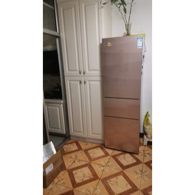 良心解密奥马BCD-220WDGC冰箱怎么样？图文长篇记录必看