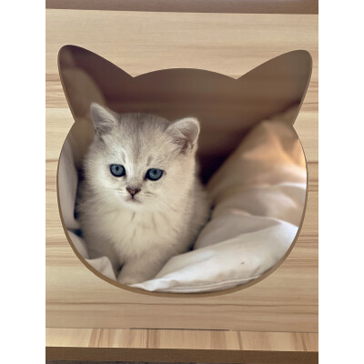 曦凰猫爬架能入手吗-曦凰猫爬架选购指南_http://www.meifudie.com_好物_第1张
