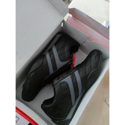 解疑答惑双星WDSM-9011优劣全面解析，评测一个月感受告知-盒子日记