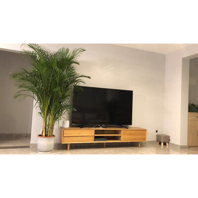 实情测评SHARP70X6A电视怎么样？老鸟吐槽评测