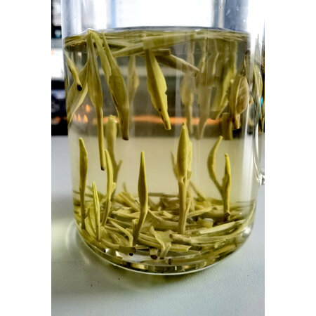 大家使用反馈福茗源绿茶质量靠谱不，使用三个月感受