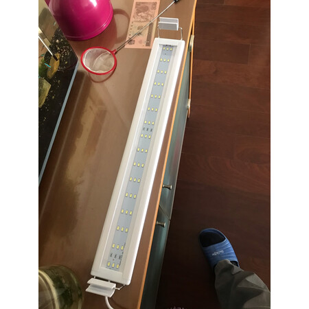 真实曝光智洋（ZHIYANG）照明设备质量好不好，了解一星期心得分享