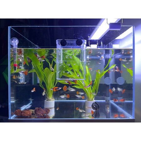 优缺点剖析精晶鱼缸裸缸入手超值的吗？质量究竟如何呢！