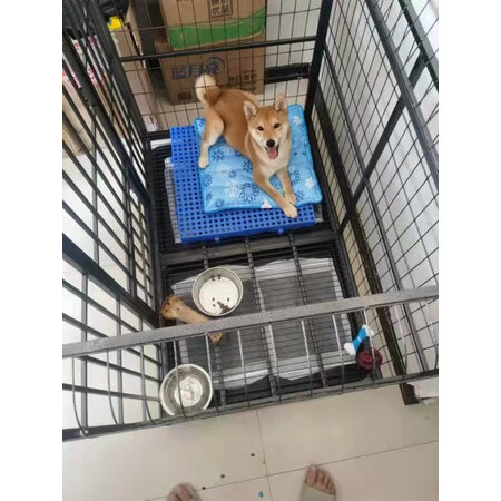 已经入手吐槽珑小宠猫狗窝口碑评分如何，用了三周心得分享