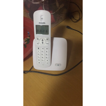 过来人曝光飞利浦DCTG186还可以吗，一个月评测感受