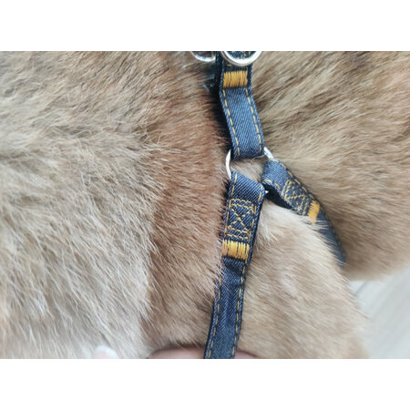 口碑反馈揭秘Mr Clea牵引绳可以入手的吧？交流一周真相分享！