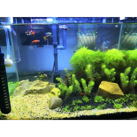 探索说说茨格曼cgm-35评测如何，真相揭秘啦