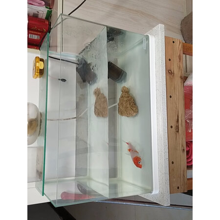内行人剖析森森（SUNSUN）鱼缸/水族箱如何怎么样，使用分享爆料