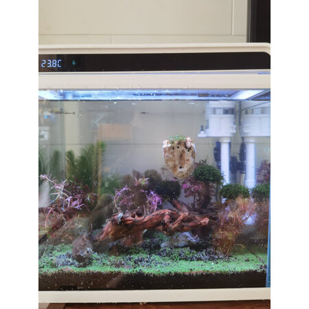 说说对比森森（SUNSUN）水草用品是不是真的好用，真相评测揭秘