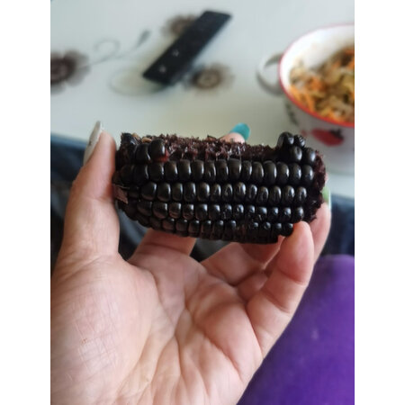 已经入手曝光华田禾邦糯玉米可以买不，交流二周感受告知