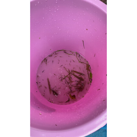 真实曝光智洋（ZHIYANG）照明设备质量好不好，了解一星期心得分享