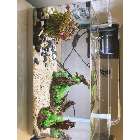 入手爆料森森（SUNSUN）鱼缸/水族箱使用后评价好吗，真实质量反馈