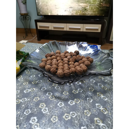 使用感受评测yomerto果盘值不值这价格呢？初次感受半年评价！