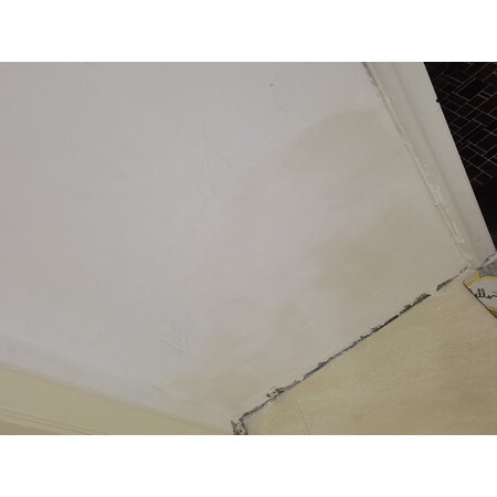 用户体验三棵树漆DS-SCA360评测怎么样，用过的点评一下呗